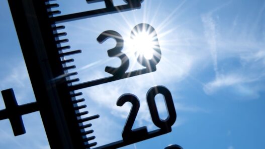 Hitze in Deutschland: Erneut Temperaturrekord gemessen – 41,5 Grad in Sachsen-Anhalt - Panorama - SZ.de