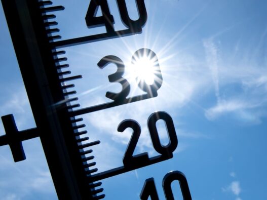 Hitze in Deutschland: Erneut Temperaturrekord gemessen – 41,5 Grad in Sachsen-Anhalt - Panorama - SZ.de
