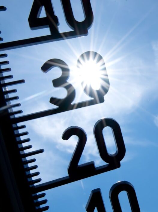 Hitze in Deutschland: Erneut Temperaturrekord gemessen – 41,5 Grad in Sachsen-Anhalt - Panorama - SZ.de