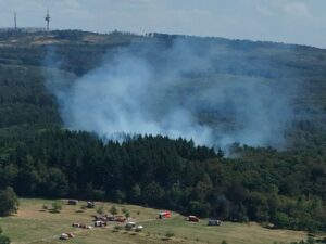 Hitze: Mehrere Waldbrände in Deutschland - Panorama - SZ.de