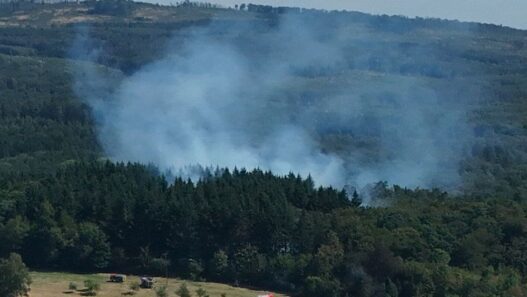 Hitze: Mehrere Waldbrände in Deutschland - Panorama - SZ.de