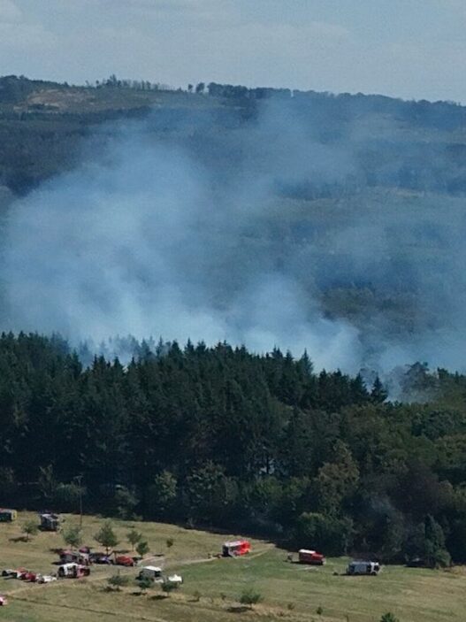 Hitze: Mehrere Waldbrände in Deutschland - Panorama - SZ.de