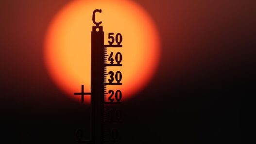 Juni und Juli waren in Westeuropa so warm wie noch nie - Panorama - SZ.de