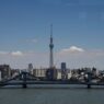 USA News: Japan und USA stützen fallenden Yen - Politik - SZ.de