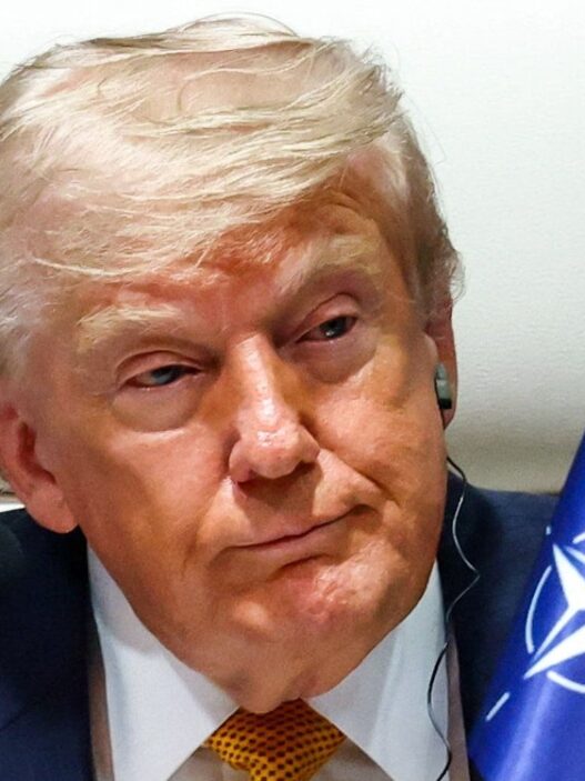 USA News: Truppen nur für Trump-Loyalisten? USA schicken offenbar Nato-Verbündeten Fragebogen - Politik - SZ.de