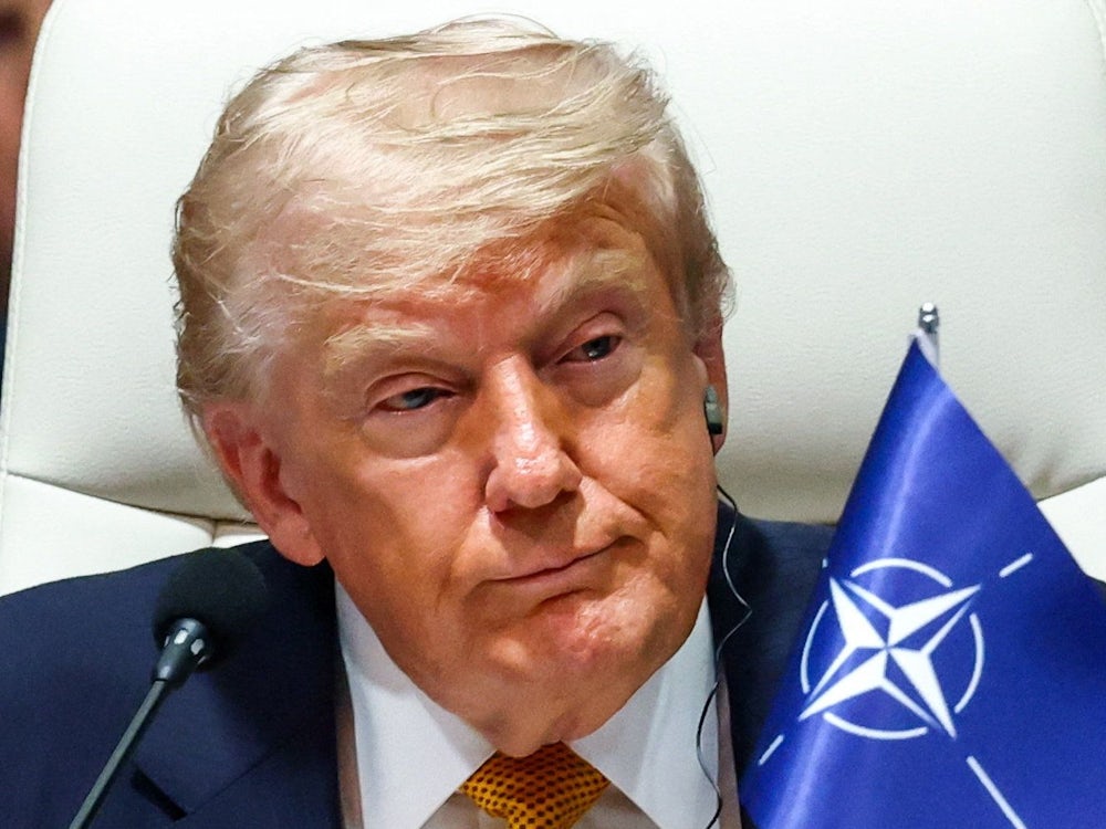 USA News: Truppen nur für Trump-Loyalisten? USA schicken offenbar Nato-Verbündeten Fragebogen - Politik - SZ.de