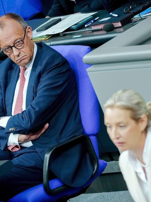 Bundespolitik: Merz zu Weidel: „Sie sind und Sie bleiben eine destruktive Kraft“ - Politik - SZ.de
