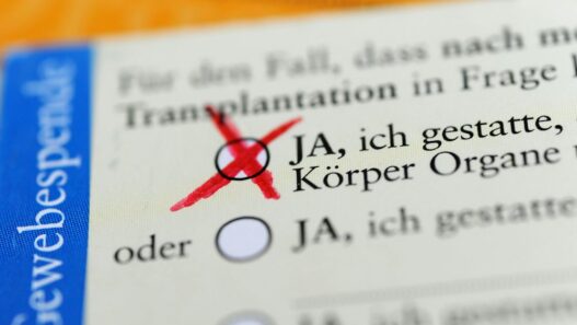 Newsblog zur Bundespolitik: Bundestag berät über mögliche Neuregelung der Organspende - Politik - SZ.de