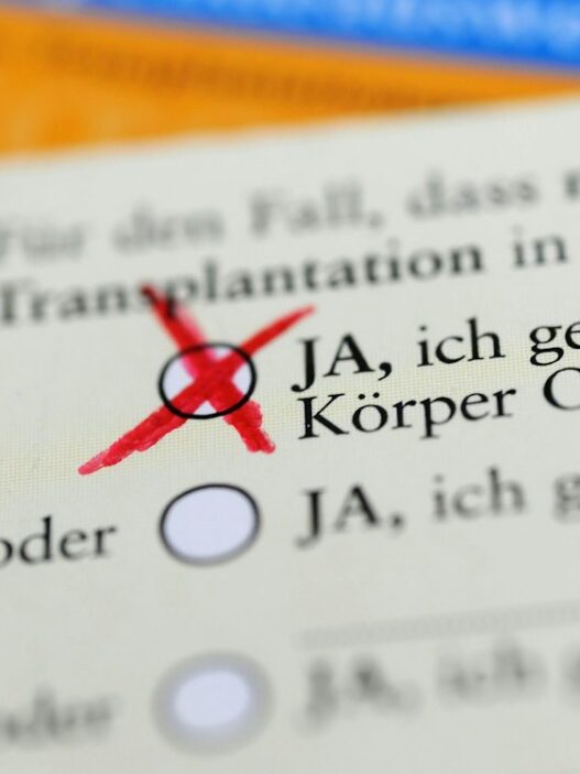 Newsblog zur Bundespolitik: Bundestag berät über mögliche Neuregelung der Organspende - Politik - SZ.de